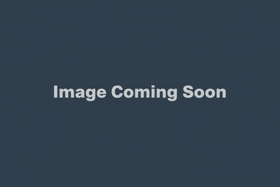 Change text to image coming soon